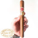 Romeo y Julieta Churchills | Comprar Charuto Cubano em  Vinhedo